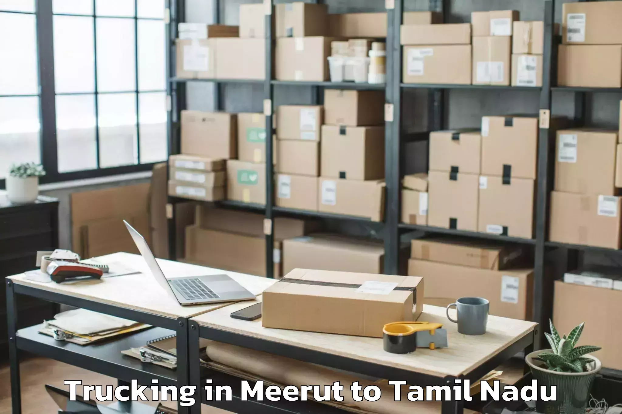 Leading Meerut to Thirumayam Trucking Provider